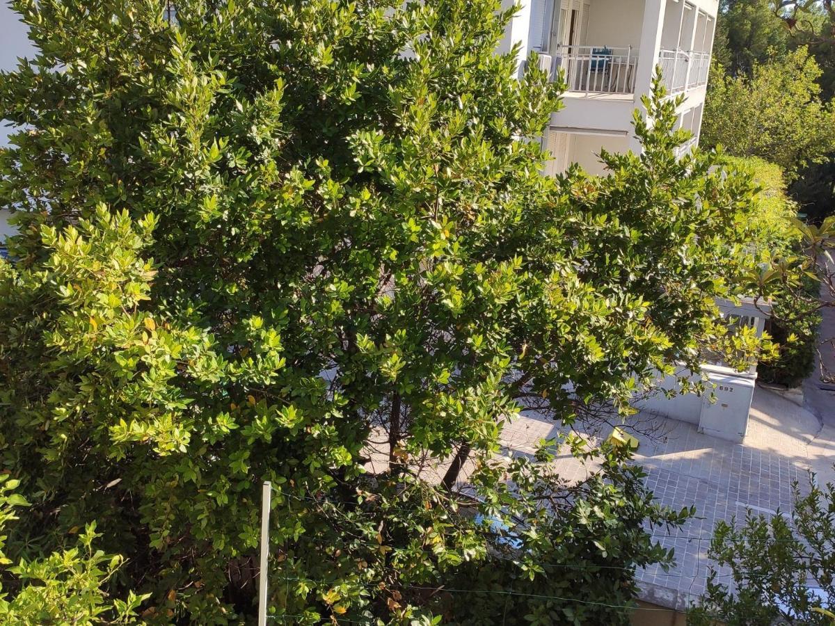Apartments Ivo Makarska Exterior photo